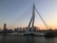 De erasmusbrug in de vroege morgen.