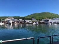 Zicht op Husavik