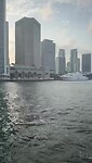 Miami downtown