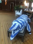 IMG_2842