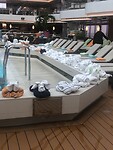 IMG_2839