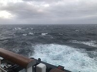 IMG_2828