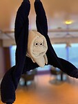 IMG_0555