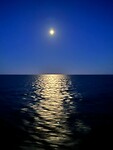 IMG_2915