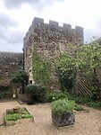 IMG_3439