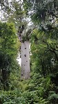 20181210_141605
