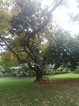 20200101_170209