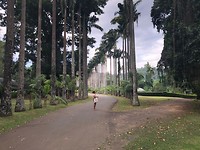 IMG-20200101-WA0037