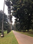 IMG-20200101-WA0042
