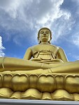 IMG_3254