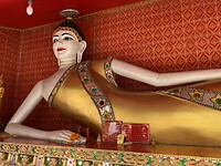 IMG_3241