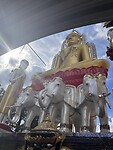 IMG_3247