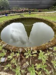 IMG_3617