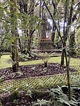 IMG_3611