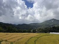 IMG_3604