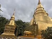 IMG_3529