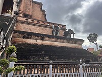 IMG_3518