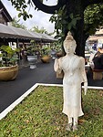 IMG_3506