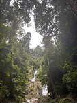 IMG_4018
