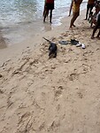 IMG_3964