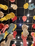 IMG_4162