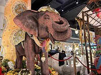 IMG_4161