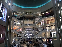 IMG_5242