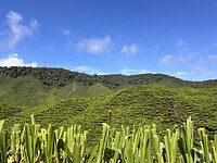 IMG_5495