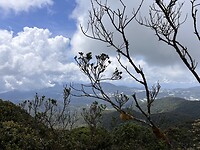 IMG_5466