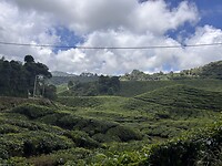 IMG_5460