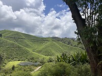 IMG_5450