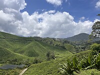 IMG_5440