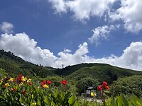 IMG_5430