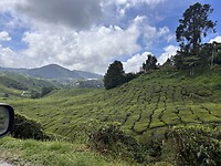 IMG_5421
