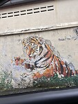 IMG_5592
