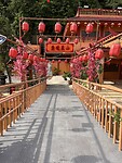 IMG_5575