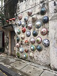 IMG_5541