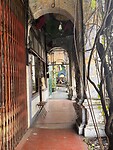 IMG_5535