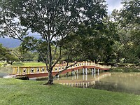 IMG_5618