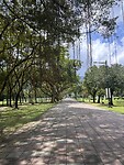 IMG_5615