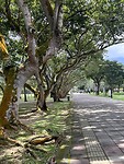 IMG_5616