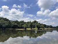 IMG_5614