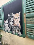 IMG_5673