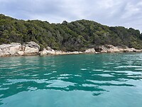 IMG_5803