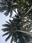 IMG_5780