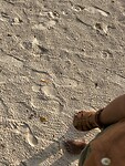 IMG_5772