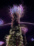 IMG_5979