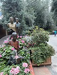 IMG_5911