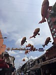 IMG_6071