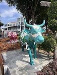 IMG_6058